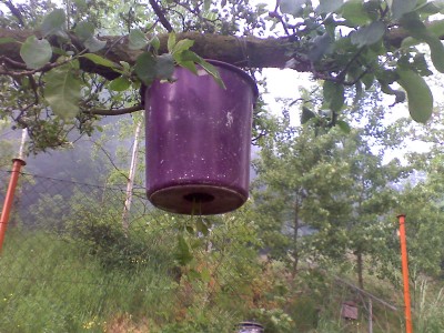 img089.jpg